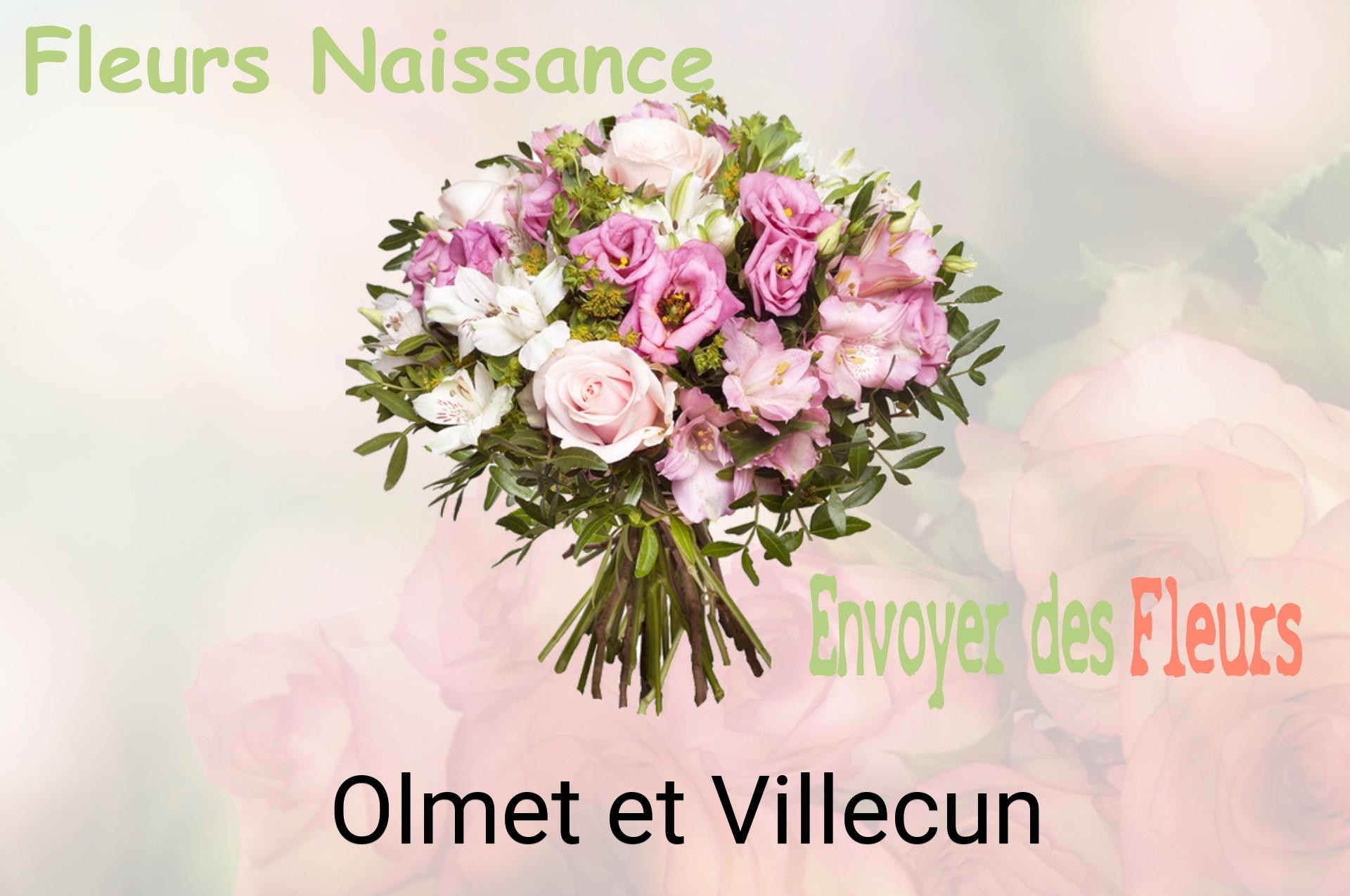 Bouquet de fleurs de naissance livré à Olmet-et-Villecun