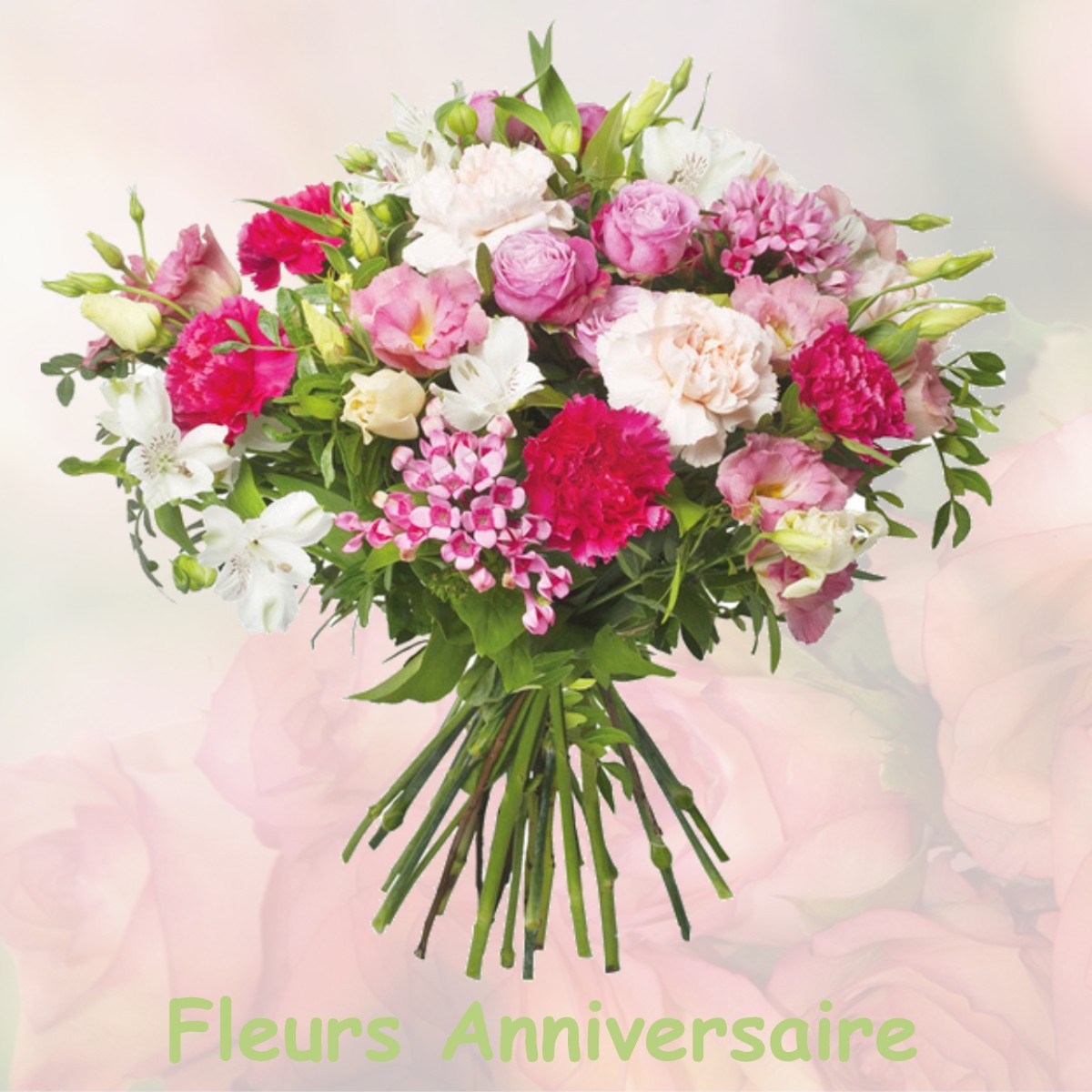fleurs anniversaire OLMET-ET-VILLECUN