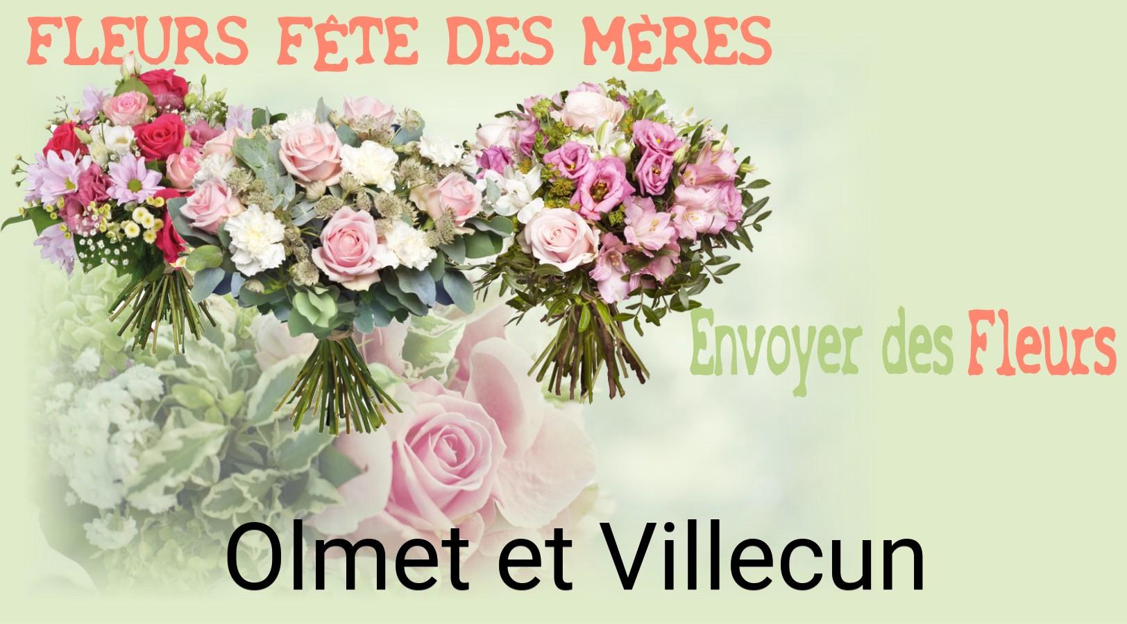 Bouquet de Fête des Mères livré à Olmet-et-Villecun